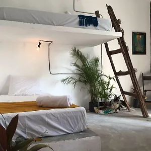  Guest house Black Jaguar